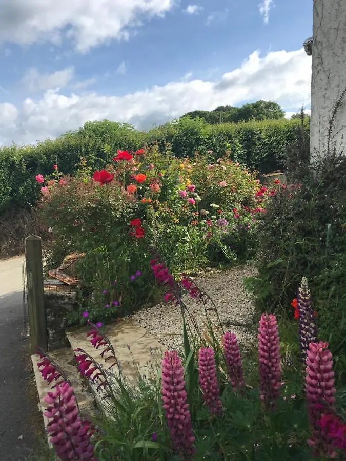 Remote Thatch Cottage On Dartmoor With Hot Tub Exeter 0*,