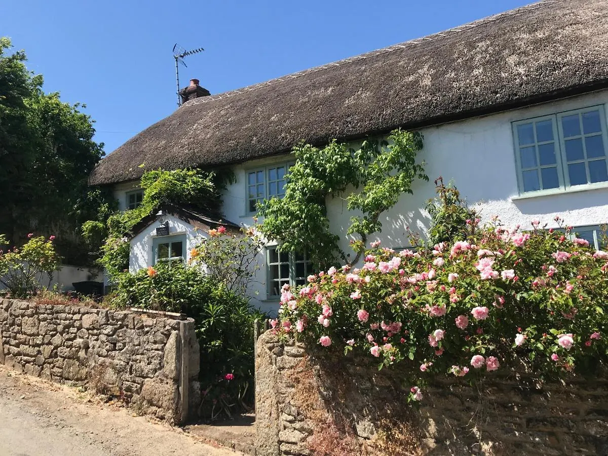 Remote Thatch Cottage On Dartmoor With Hot Tub Exeter