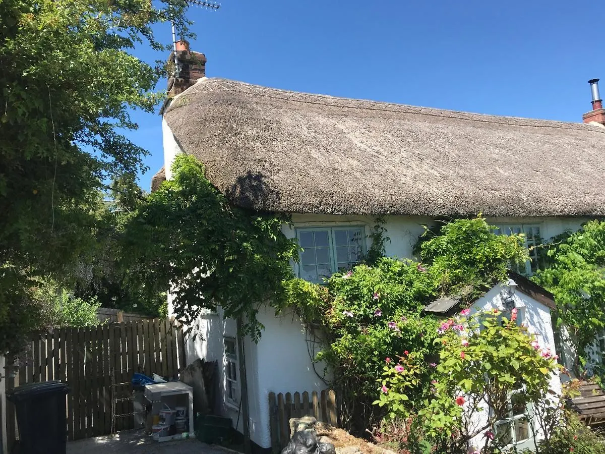 Hébergement de vacances Remote Thatch Cottage On Dartmoor With Hot Tub Exeter